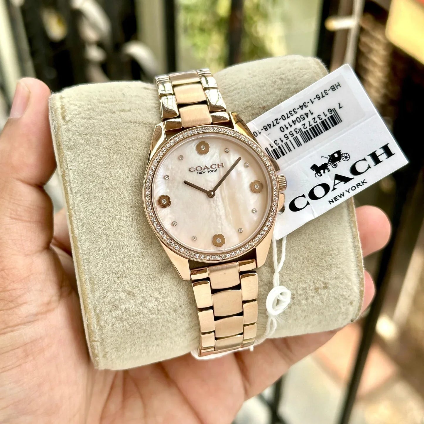 C_oach M_other Pearl Analog