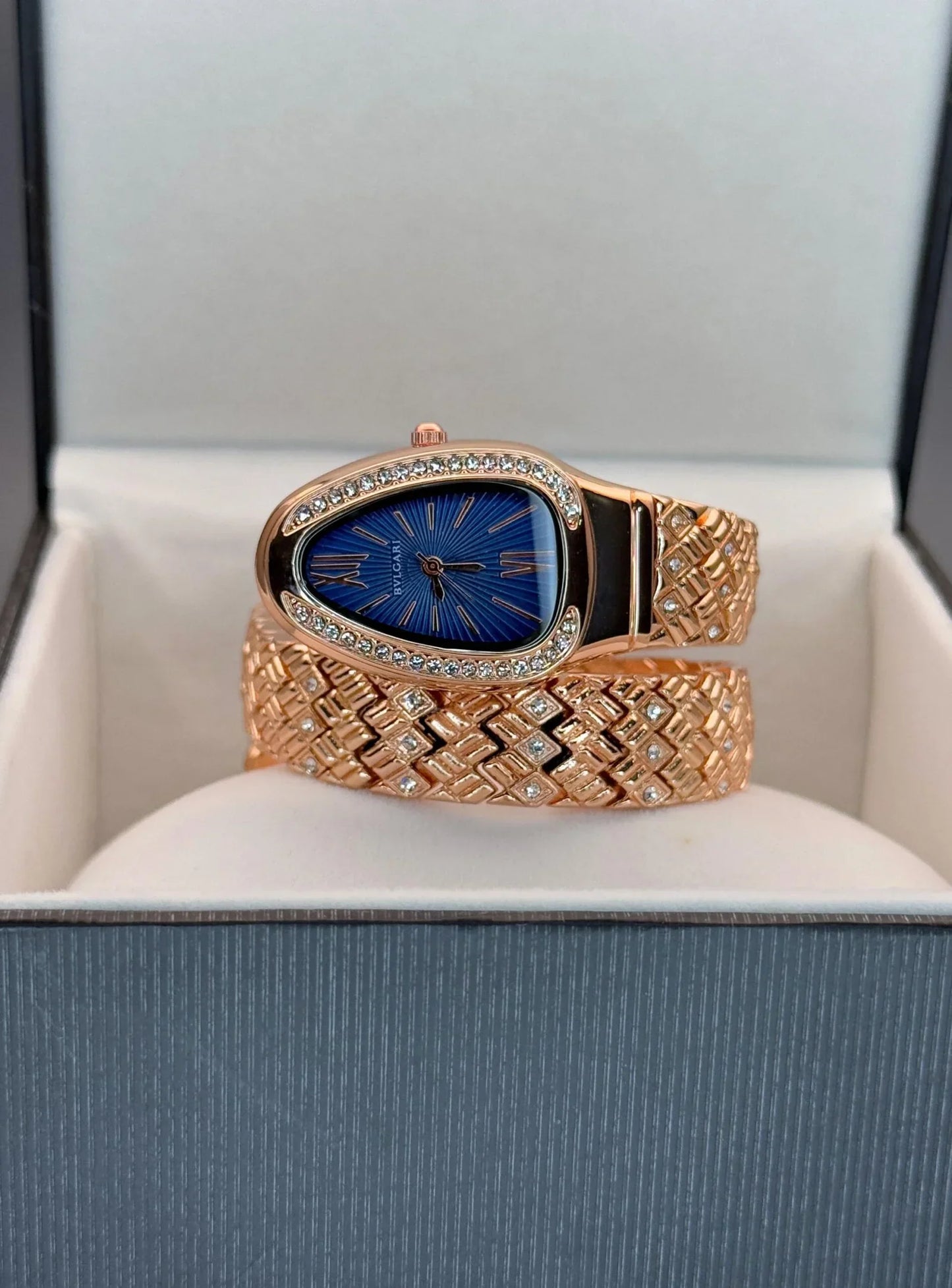 Bvl_gari S_nake Oval Watch