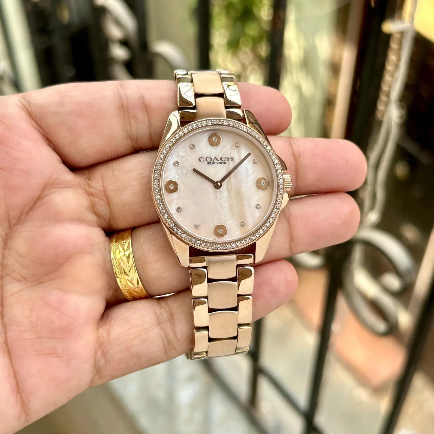 C_oach M_other Pearl Analog