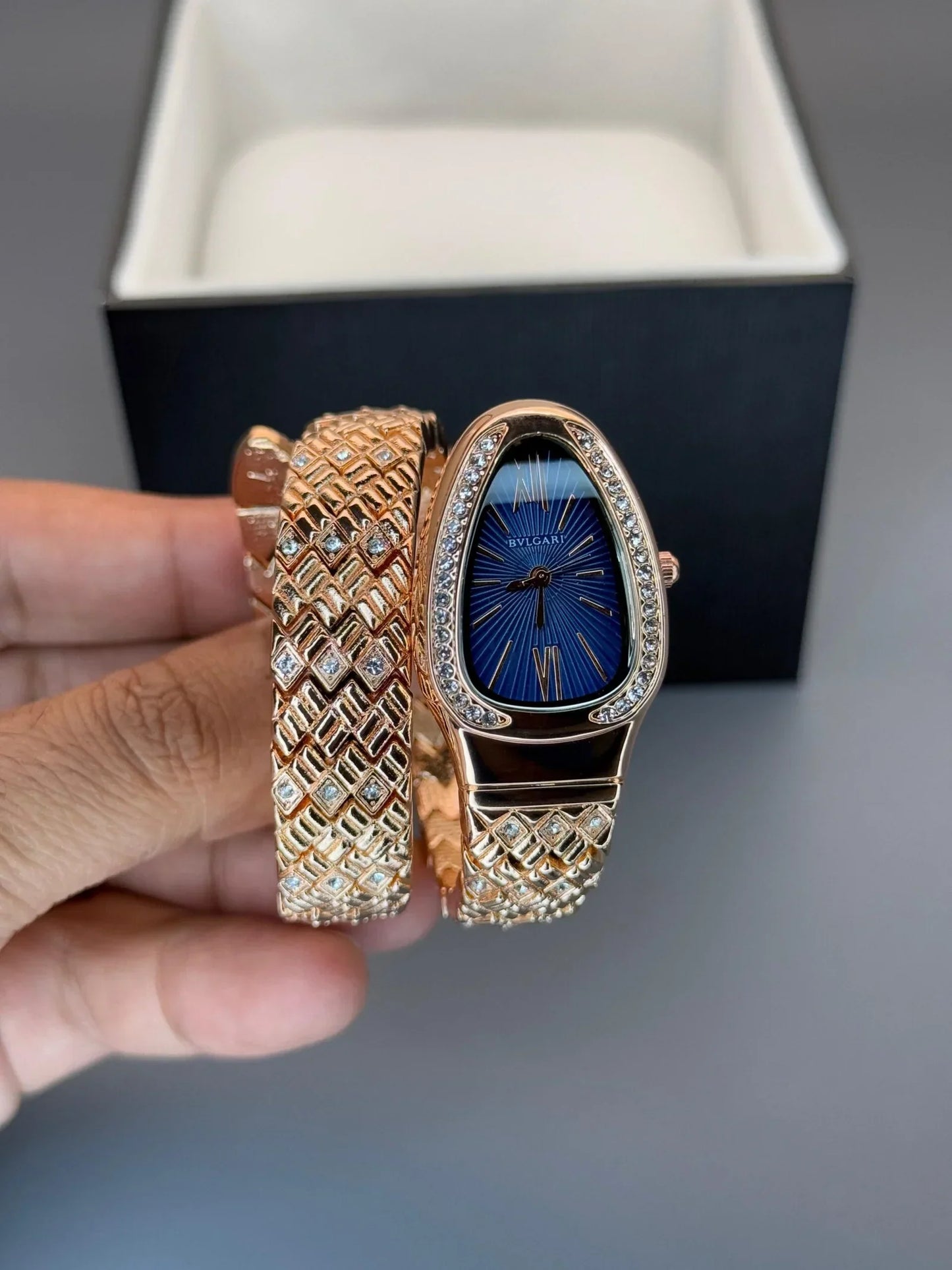 Bvl_gari S_nake Oval Watch